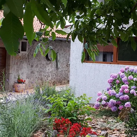 Kuca Za Odmor Mikleus بيت للعطل لوفغان