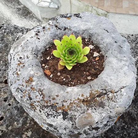 Kuca Za Odmor Mikleus Prázdninový dům