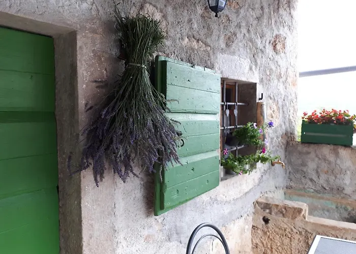 Kuca Za Odmor Mikleus