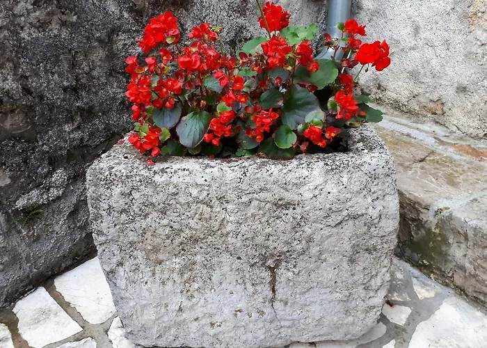 Kuca Za Odmor Mikleus Сasa de vacaciones